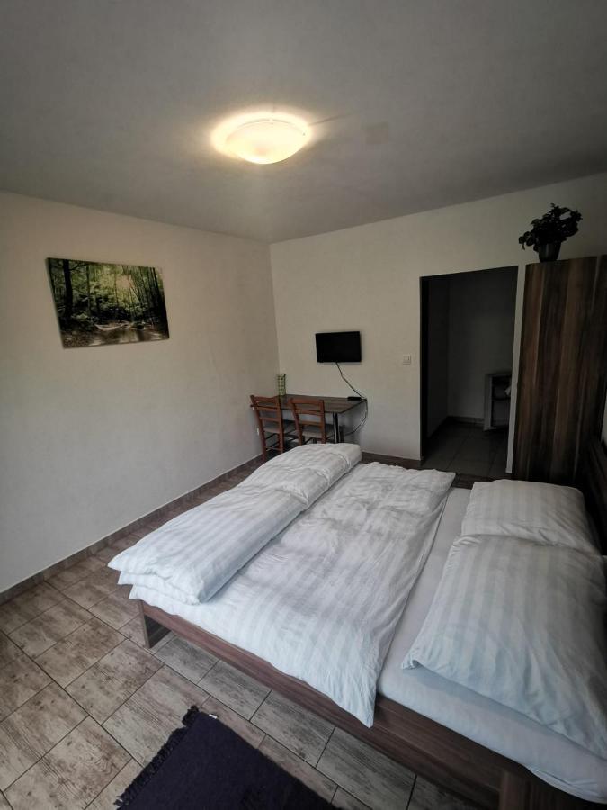 Apartmany Pod Landstejnem Stare Mesto  Kültér fotó