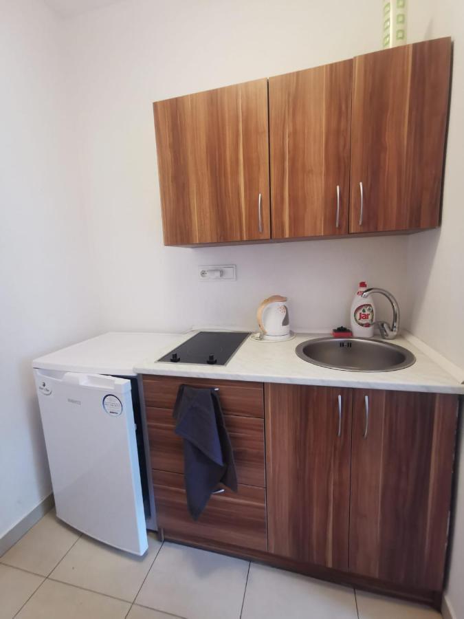 Apartmany Pod Landstejnem Stare Mesto  Kültér fotó
